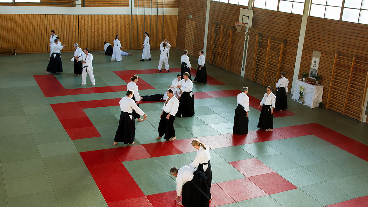 Eindruck aus dem Aikido-Lehrgangsleben, Motiv 1