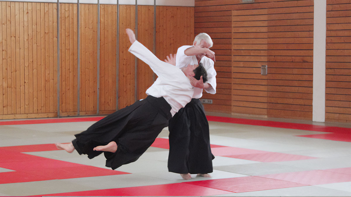 Eindruck aus dem Aikido-Lehrgangsleben, Motiv 8